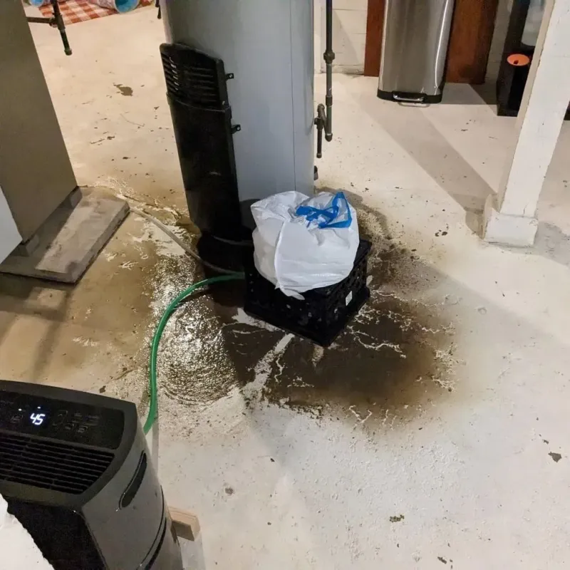 Sewage Backup Cleanup Service in Coeburn, VA